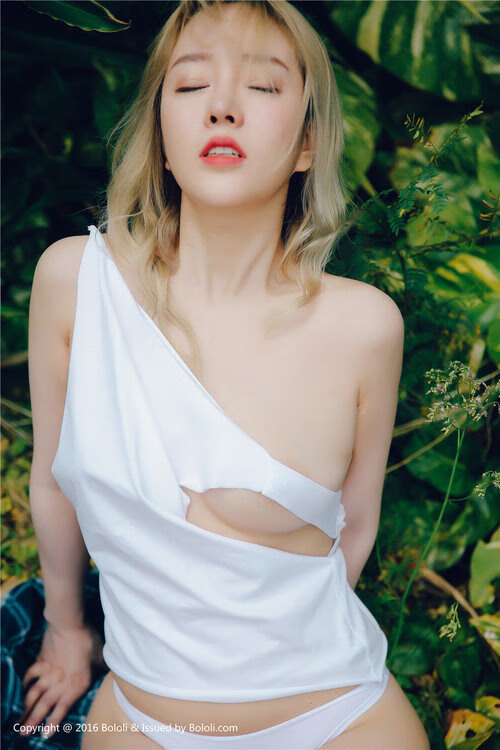 意甲裁判语义判罚系统提升判罚一致性的研究，意甲著名裁判